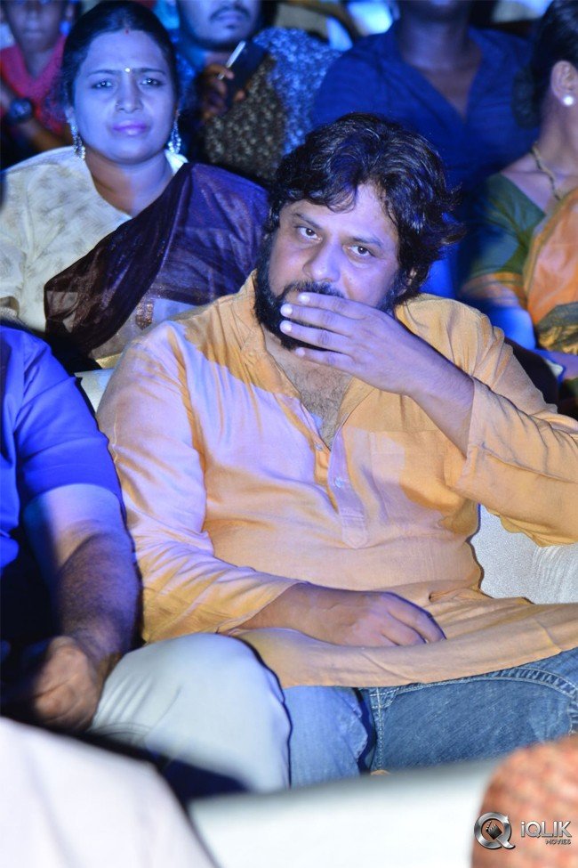 Naa-Peru-Surya-Naa-Illu-India-Pre-Release-Event-Photos